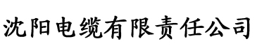 文轩公司做扩张河马电缆厂logo